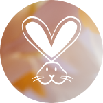 Cruelty Free